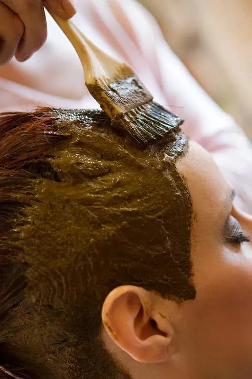 Réalisation coiffure végétale Brocéliande