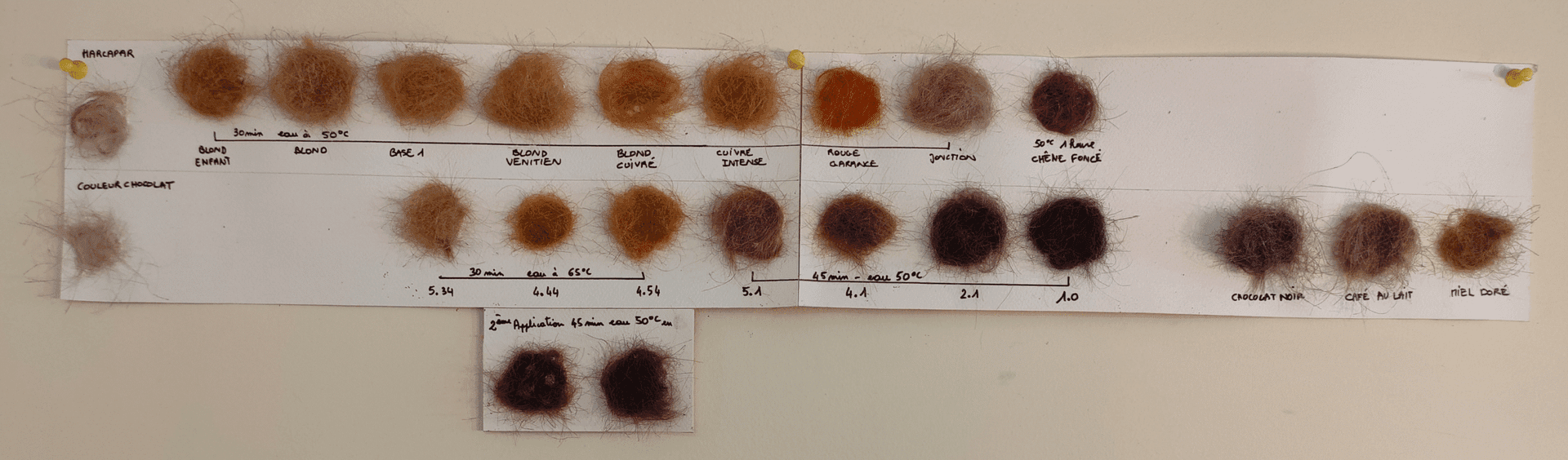 Palette de couleurs naturelles pour coloration végétale
